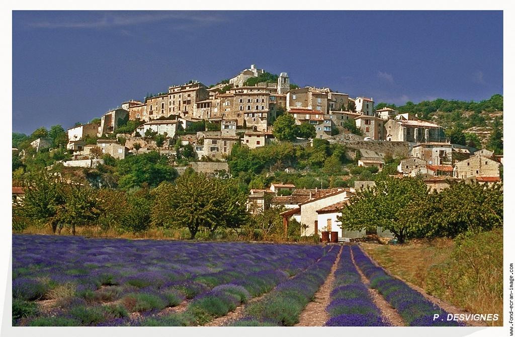 Valsaintes Provenza-Alpes-Costa Azul - Simiane-la-Rotonde visuel 10/10