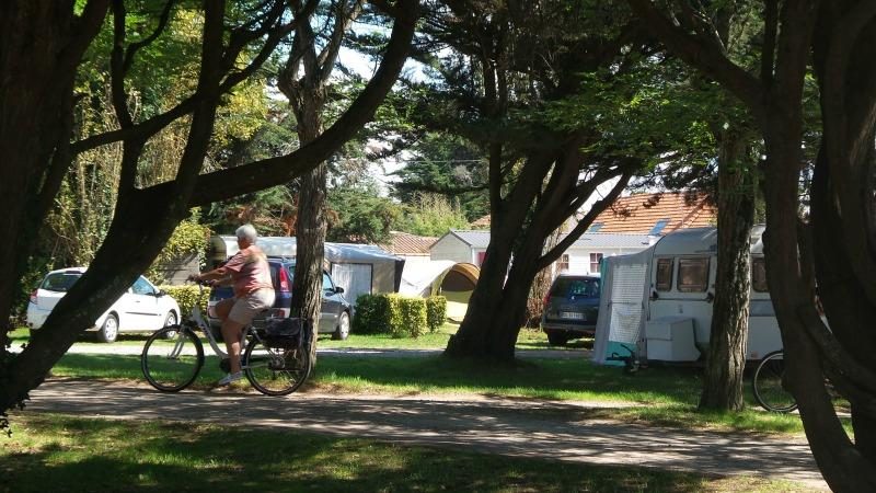 Vieux Chateau Países del Loira - Saint-Michel-Chef-Chef visuel 2/8 Vieux Chateau Países del Loira - Saint-Michel-Chef-Chef visuel 2/8