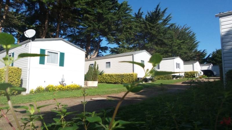 Vieux Chateau Países del Loira - Saint-Michel-Chef-Chef visuel 4/8 Vieux Chateau Países del Loira - Saint-Michel-Chef-Chef visuel 4/8