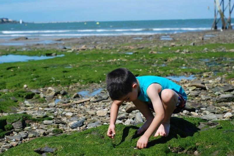 Vieux Chateau Países del Loira - Saint-Michel-Chef-Chef visuel 6/8 Vieux Chateau Países del Loira - Saint-Michel-Chef-Chef visuel 6/8