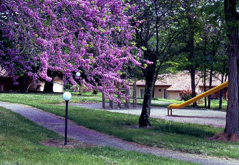 Village de Gites Chateau de Termes Mediodía-Pirineos - Saint-Denis-lès-Martel visuel 3/9 Village de Gites Chateau de Termes Mediodía-Pirineos - Saint-Denis-lès-Martel visuel 3/9