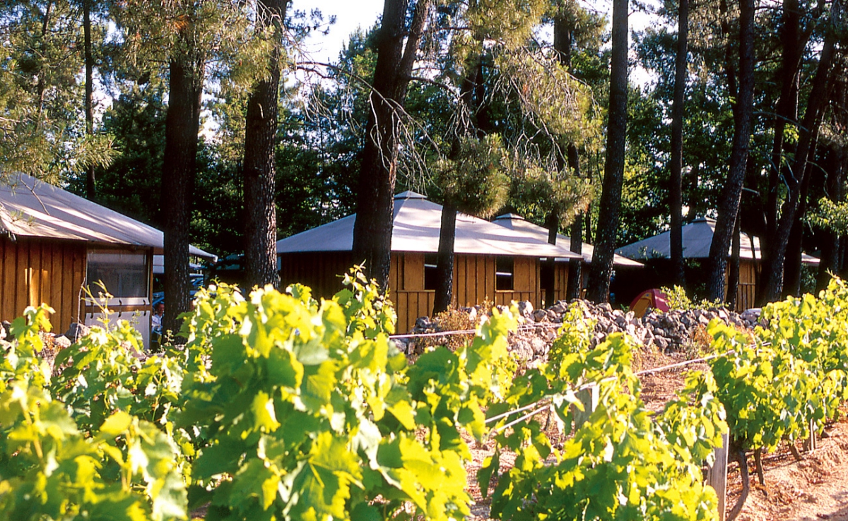 Village de vacances la Croix de Vinchannes Ródano-Alpes - Joyeuse visuel 5/10
