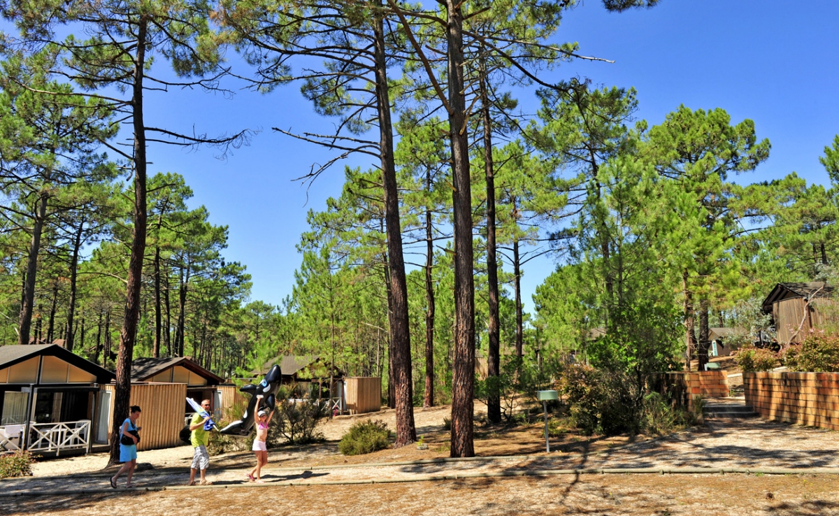Village de vacances Les Oyats Sylvadoures - Aquitania - Carcans visuel 2/9