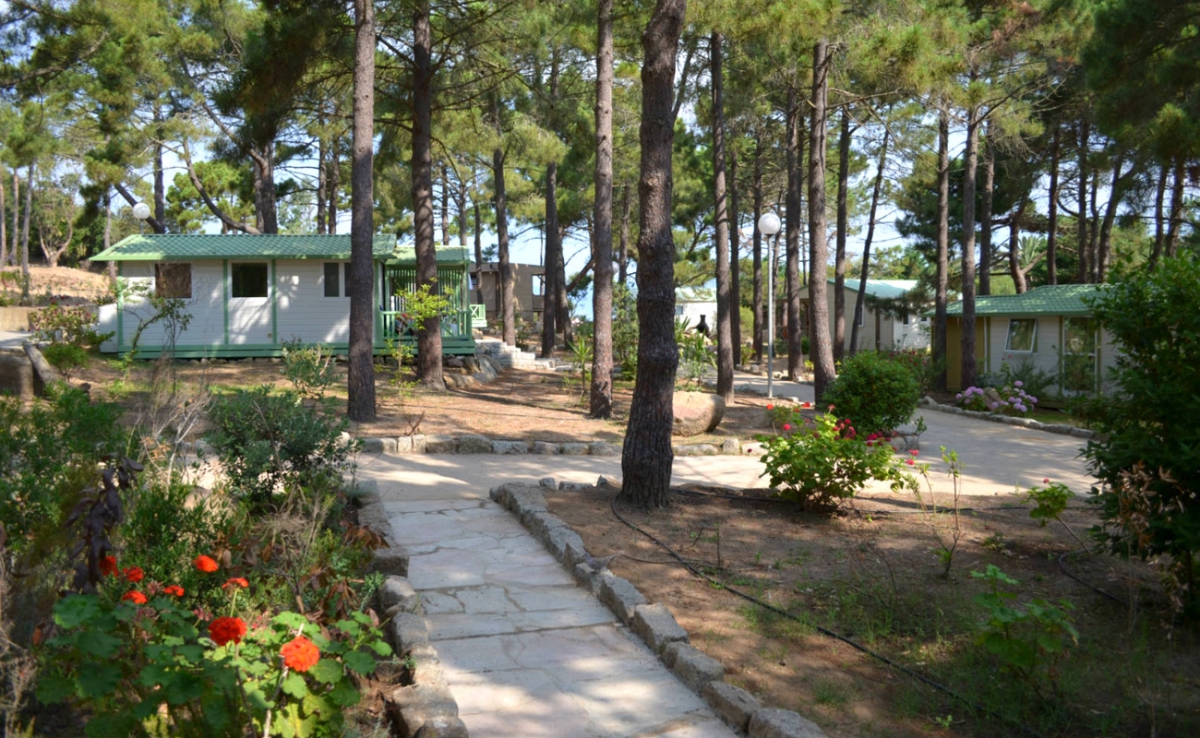 Village de vacances U Livanti Córcega - Belvédère-Campomoro visuel 1/10 Village de vacances U Livanti Córcega - Belvédère-Campomoro visuel 1/10