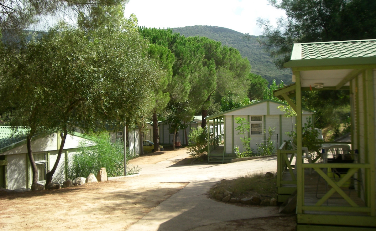 Village de vacances U Livanti Córcega - Belvédère-Campomoro visuel 3/10 Village de vacances U Livanti Córcega - Belvédère-Campomoro visuel 3/10