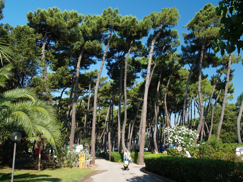 Village Settebello Lacio - Fondi visuel 8/10