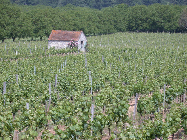 Village Vacances des Cigales Mediodía-Pirineos - Mauroux visuel 10/10