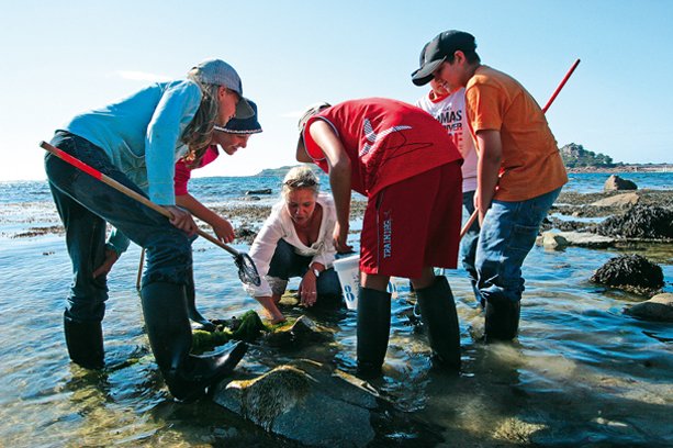 Village Vacances La Salicorne Poitou-Charentes - Ars-en-Ré visuel 8/8 Village Vacances La Salicorne Poitou-Charentes - Ars-en-Ré visuel 8/8