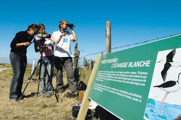 Village Vacances La Salicorne Poitou-Charentes - Ars-en-Ré visuel 4/8 Village Vacances La Salicorne Poitou-Charentes - Ars-en-Ré visuel 4/8