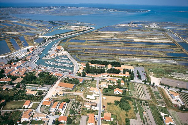 Village Vacances La Salicorne Poitou-Charentes - Ars-en-Ré visuel 6/8 Village Vacances La Salicorne Poitou-Charentes - Ars-en-Ré visuel 6/8