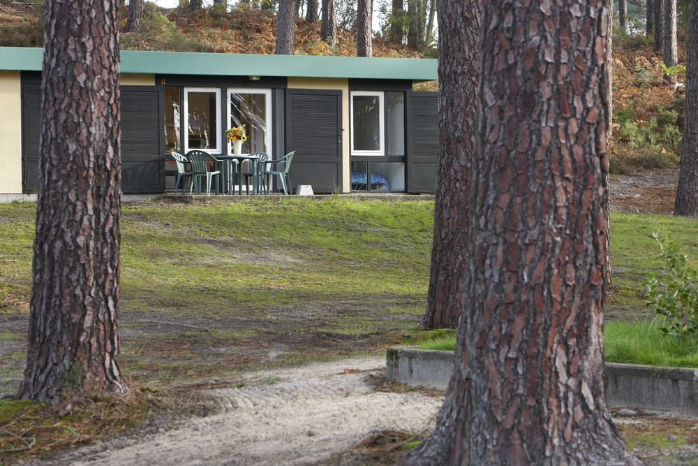 Village Vacances Les Genêts Aquitania - Léon visuel 1/4