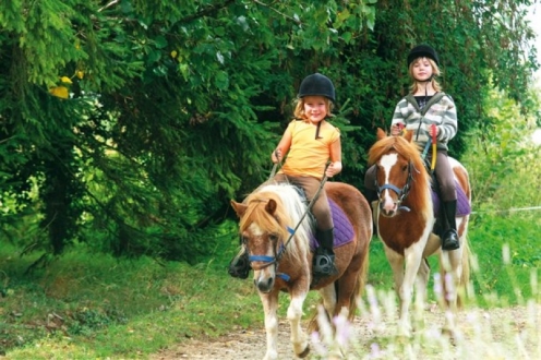 Village Vacances Les Hauts de Najac Mediodía-Pirineos - Najac visuel 10/10 Village Vacances Les Hauts de Najac Mediodía-Pirineos - Najac visuel 10/10