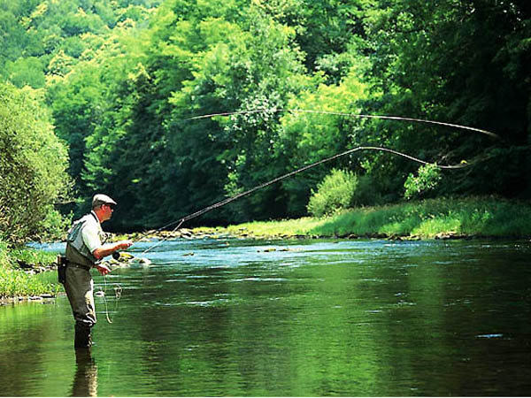 Village Vacances Les Logis de Sechemailles Limosín - Meymac visuel 10/10 Village Vacances Les Logis de Sechemailles Limosín - Meymac visuel 10/10
