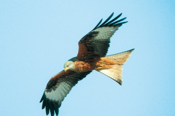 Villages Brusque Mediodía-Pirineos - Brusque visuel 3/8 Villages Brusque Mediodía-Pirineos - Brusque visuel 3/8