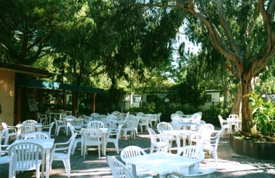 Villaggio dei Fiori Liguria - San Remo visuel 4/10 Villaggio dei Fiori Liguria - San Remo visuel 4/10