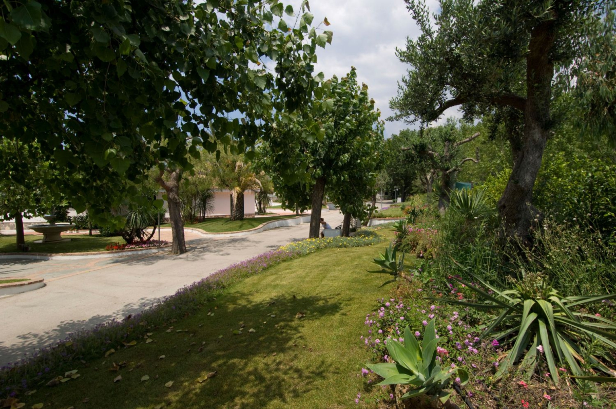 Villaggio Le Palme Campania - Ascea visuel 7/10