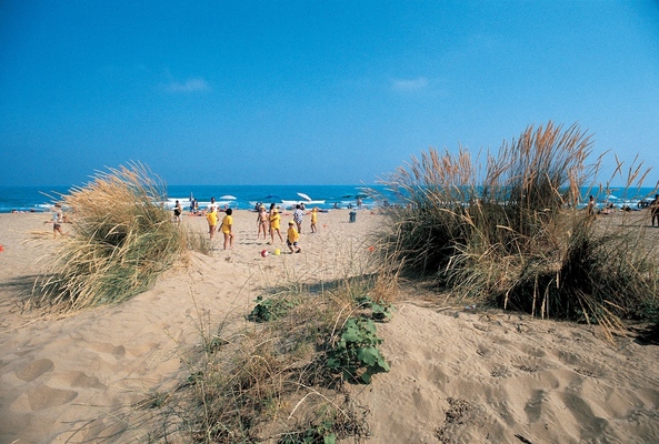 Villaggio Turistico Adriatico Véneto - Lido di Jesolo visuel 5/10 Villaggio Turistico Adriatico Véneto - Lido di Jesolo visuel 5/10