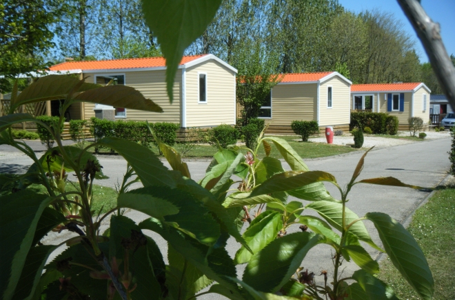 Vitamin Alta Normandía - Saint-Aubin-sur-Scie visuel 9/11 Vitamin Alta Normandía - Saint-Aubin-sur-Scie visuel 9/11