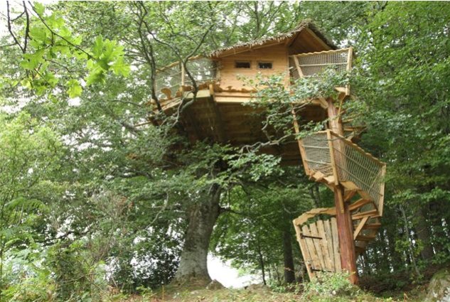 Voler avec Les Oiseaux Auvernia - Saint-Simon visuel 4/8 Voler avec Les Oiseaux Auvernia - Saint-Simon visuel 4/8