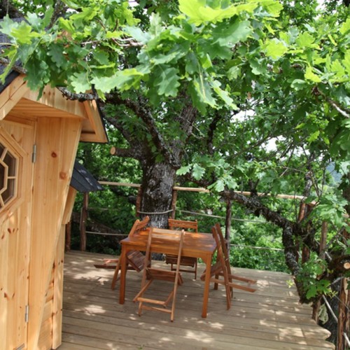 Voler avec Les Oiseaux Auvernia - Saint-Simon visuel 7/8 Voler avec Les Oiseaux Auvernia - Saint-Simon visuel 7/8