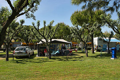 Waikiki Véneto - Lido di Jesolo visuel 4/10 Waikiki Véneto - Lido di Jesolo visuel 4/10