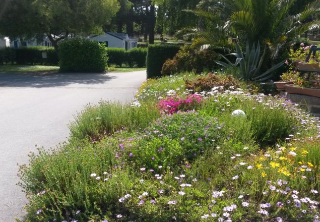 West Camping Bretaña - Perros-Guirec visuel 2/3