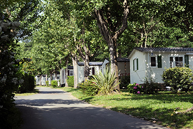 Zelaia Aquitania - Ascain visuel 1/1 Zelaia Aquitania - Ascain visuel 1/1