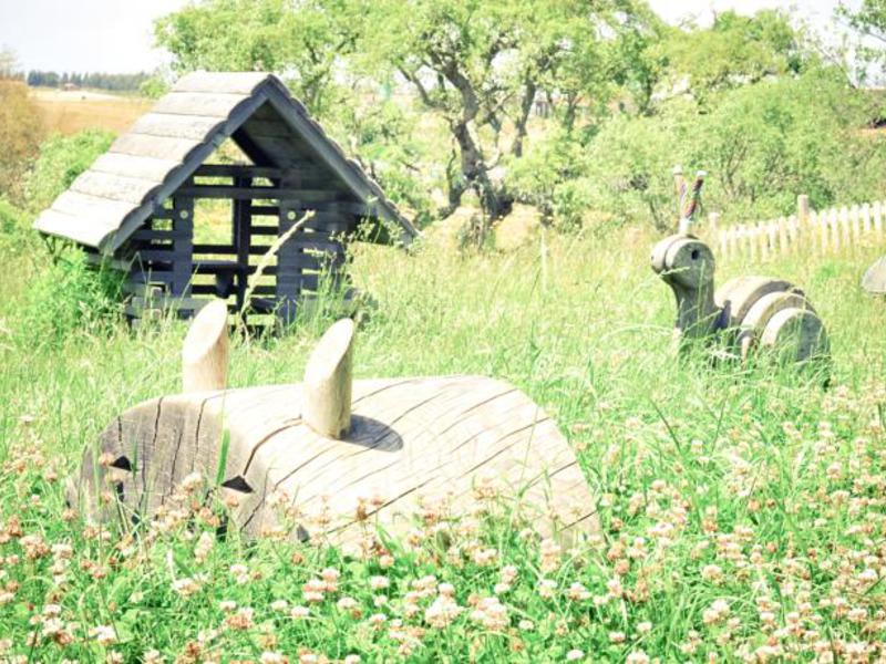 Zmar Eco Campo Alentejo - Odemira visuel 3/10