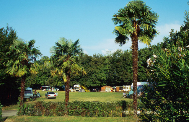 Zocco Lombardía - Manerba del Garda visuel 3/9 Zocco Lombardía - Manerba del Garda visuel 3/9