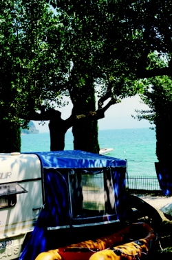 Zocco Lombardía - Manerba del Garda visuel 6/9 Zocco Lombardía - Manerba del Garda visuel 6/9