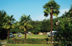 Zocco Lombardía - Manerba del Garda visuel 7/9 Zocco Lombardía - Manerba del Garda visuel 7/9