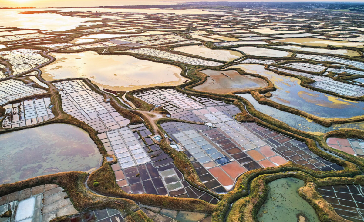 Bois de Bayadène Países del Loira - Piriac-sur-Mer visuel 4/10 Bois de Bayadène Países del Loira - Piriac-sur-Mer visuel 4/10