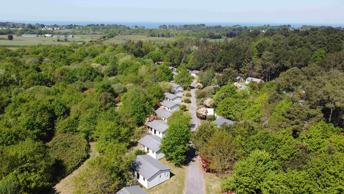 Bois de Bayadène Países del Loira - Piriac-sur-Mer visuel 10/10 Bois de Bayadène Países del Loira - Piriac-sur-Mer visuel 10/10