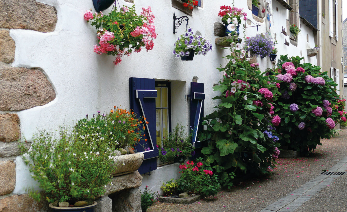 Bois de Bayadène Países del Loira - Piriac-sur-Mer visuel 5/10 Bois de Bayadène Países del Loira - Piriac-sur-Mer visuel 5/10