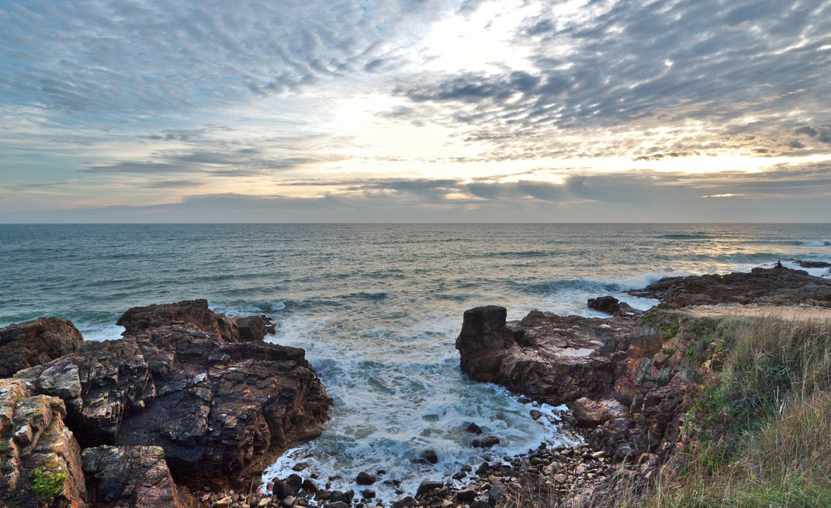 Bois de Bayadène Países del Loira - Piriac-sur-Mer visuel 8/10 Bois de Bayadène Países del Loira - Piriac-sur-Mer visuel 8/10