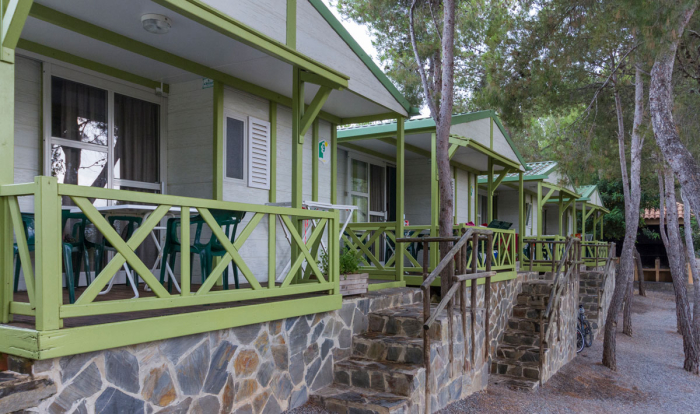 Altomira Costa de Valencia - Navajas visuel 6/24