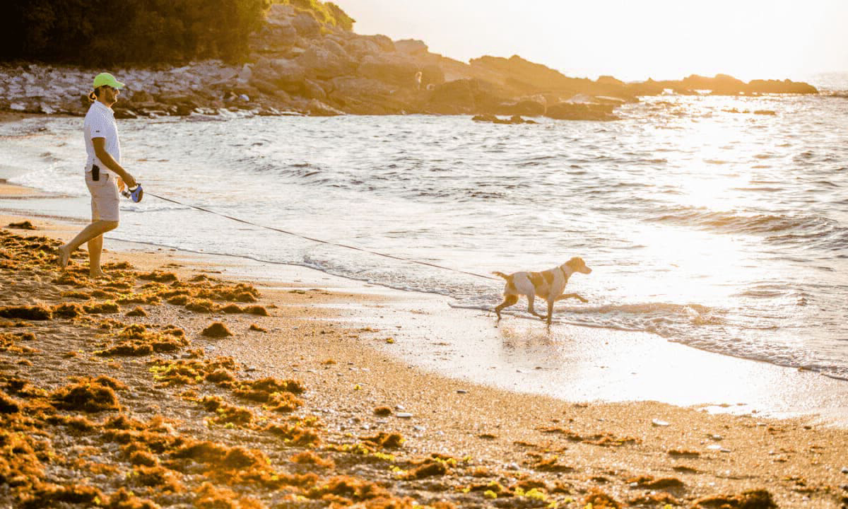 Atlantica Aquitania - Saint-Jean-de-Luz visuel 11/12