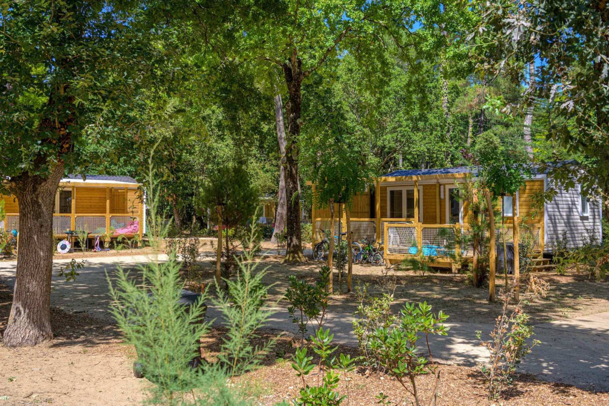 Les Biches Países del Loira - Saint-Hilaire-de-Riez visuel 28/75