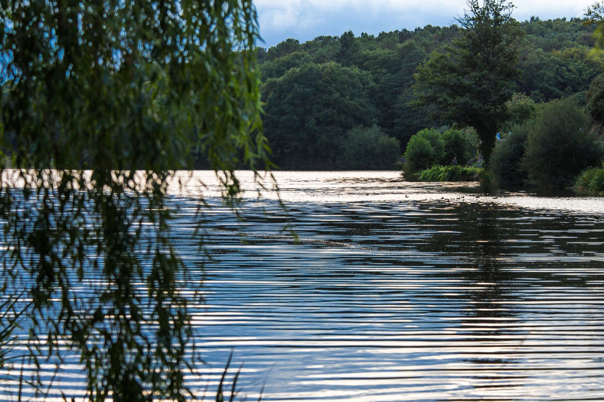 Au Gré des Vents Bretaña - Rochefort-en-Terre visuel 13/13 Au Gré des Vents Bretaña - Rochefort-en-Terre visuel 13/13