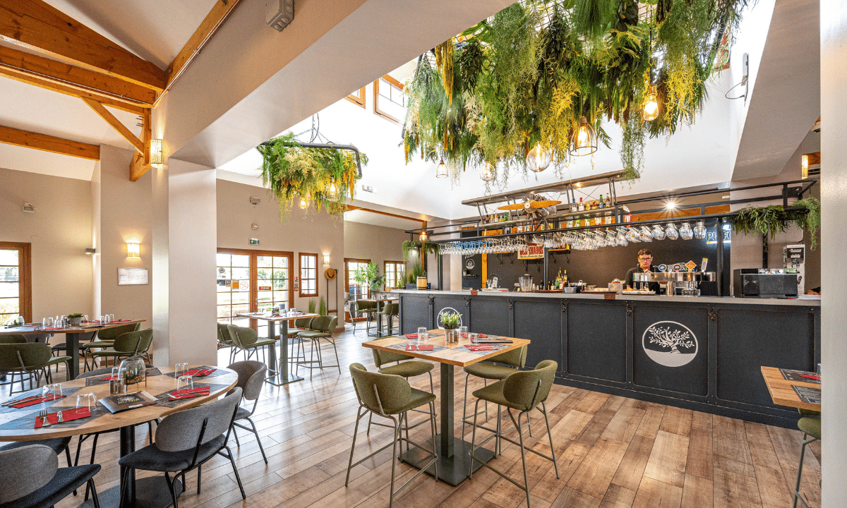 Au Lac de Biscarrosse Aquitania - Parentis-en-Born visuel 13/18