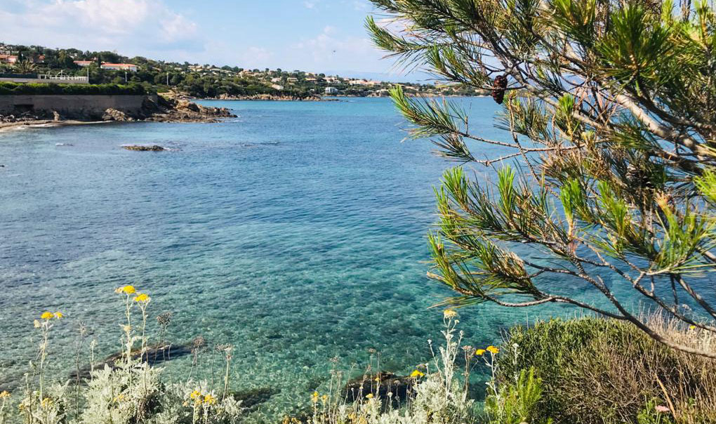 Au Paradis des Campeurs Provenza-Alpes-Costa Azul - Roquebrune-sur Argens visuel 2/17 Au Paradis des Campeurs Provenza-Alpes-Costa Azul - Roquebrune-sur Argens visuel 2/17