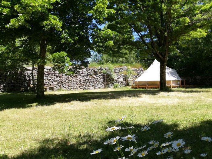 Auprés de mon Arbre Ródano-Alpes - Mayres visuel 2/3 Auprés de mon Arbre Ródano-Alpes - Mayres visuel 2/3