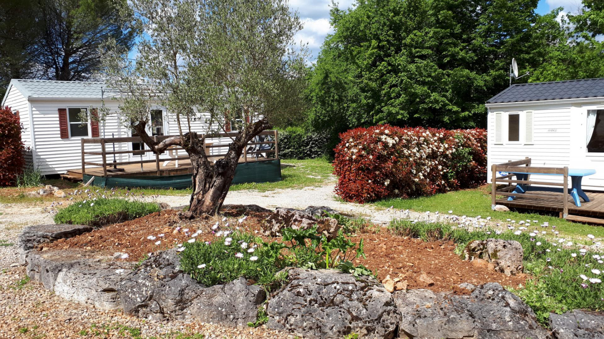 Bel Air Mediodía-Pirineos - LIMOGNE EN QUERCY visuel 1/1