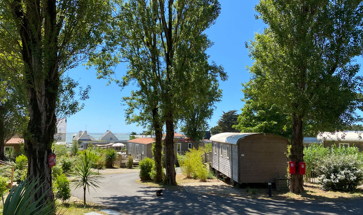 Bel Air Países del Loira - Pornichet visuel 6/15 Bel Air Países del Loira - Pornichet visuel 6/15