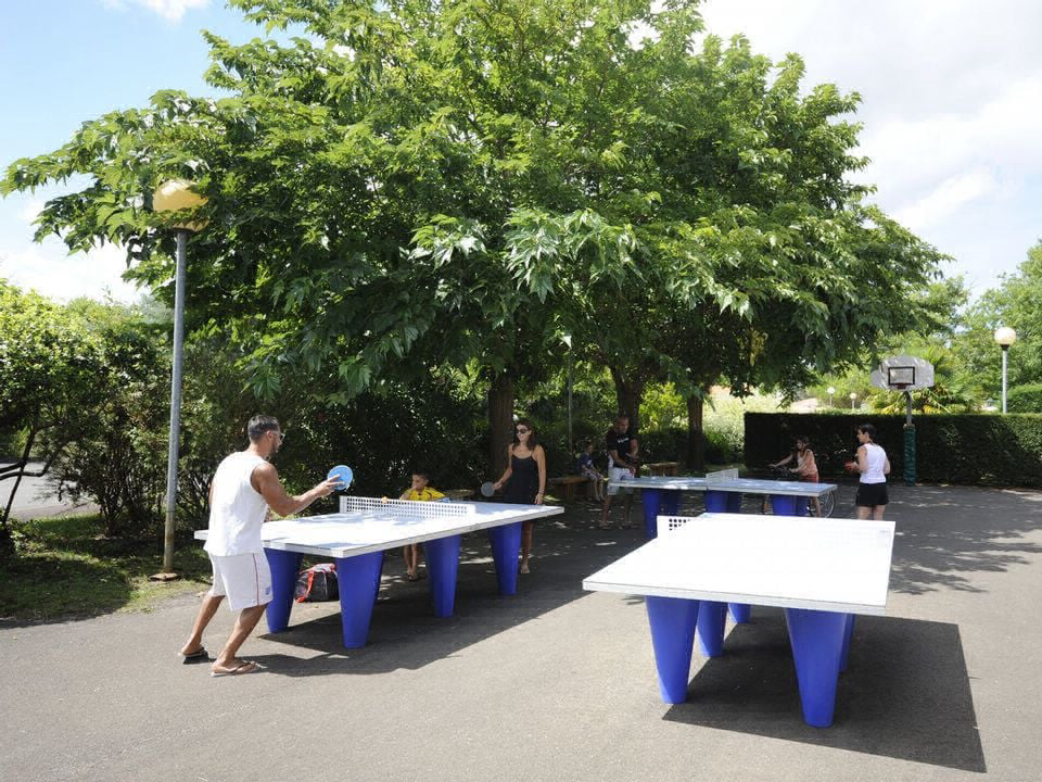 Bimbo Aquitania - Biscarrosse visuel 18/21