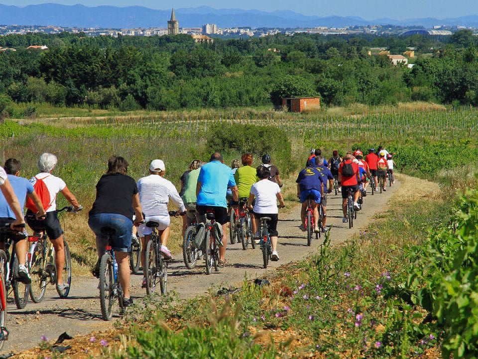 Bleu Marine Languedoc-Rosellón - Sérignan visuel 24/27 Bleu Marine Languedoc-Rosellón - Sérignan visuel 24/27