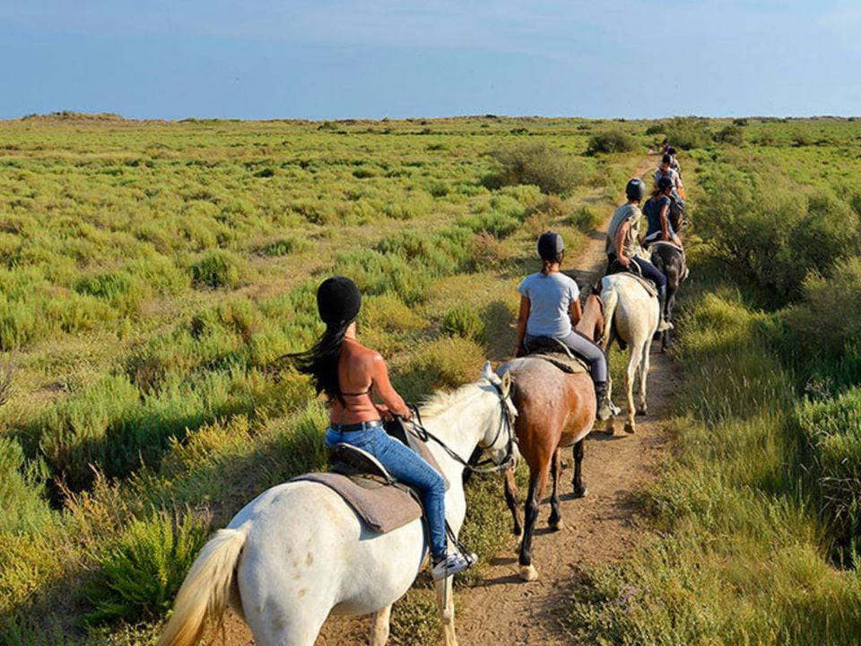 Bleu Marine Languedoc-Rosellón - Sérignan visuel 25/27 Bleu Marine Languedoc-Rosellón - Sérignan visuel 25/27