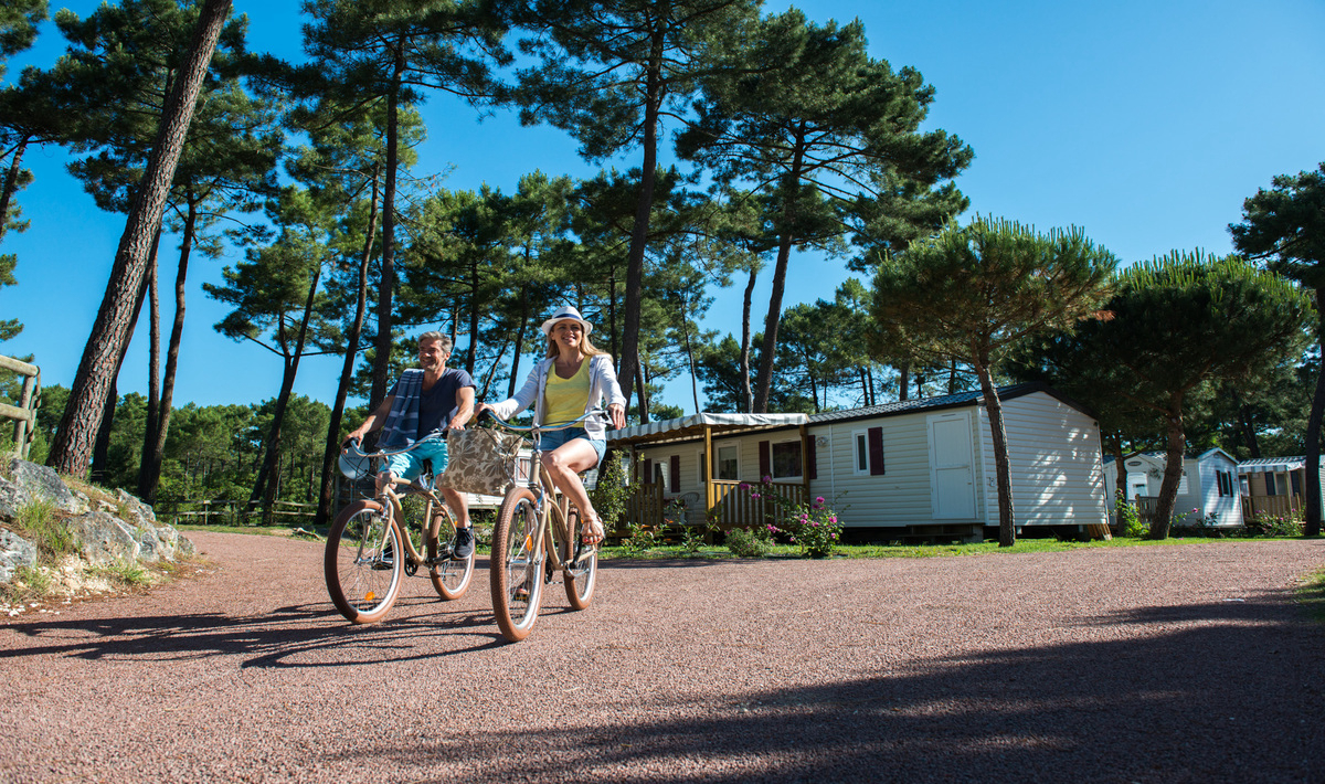 Bonne Anse Plage Poitou-Charentes - Les Mathes-La Palmyre visuel 15/21