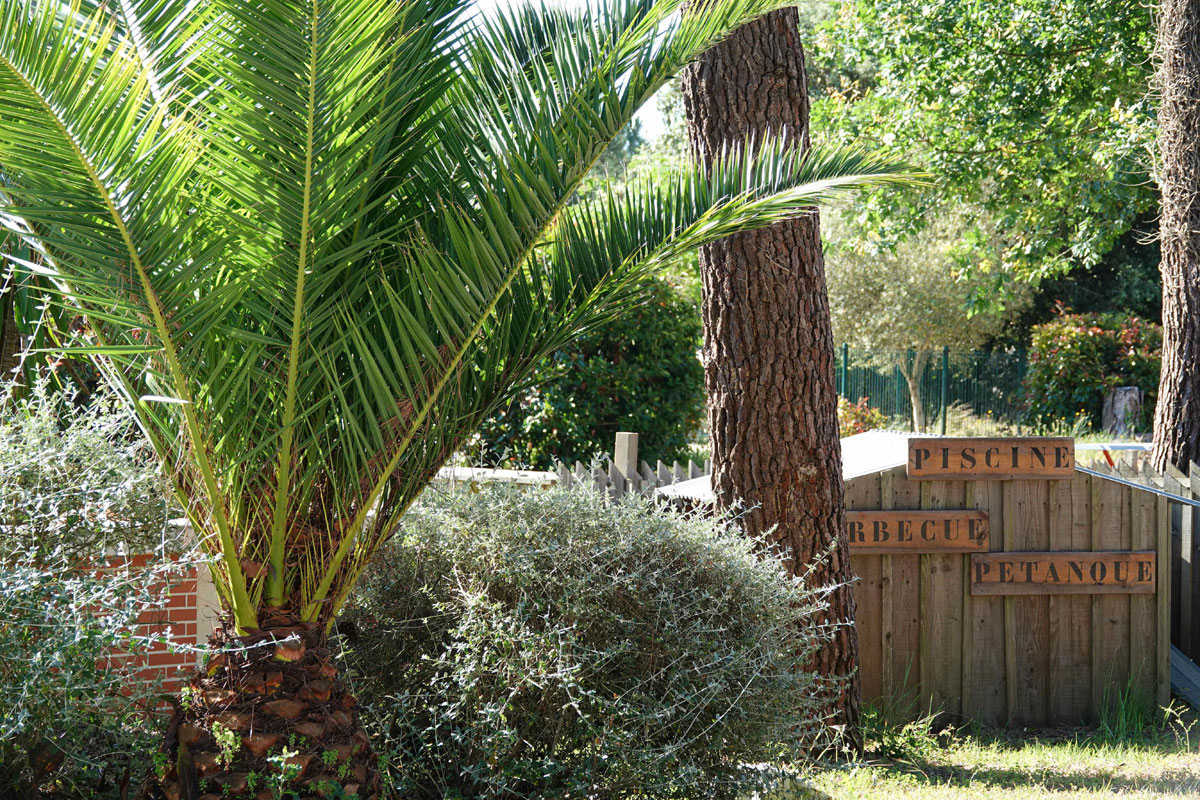 Camping des Pins Aquitania - Soulac-sur-Mer visuel 7/22