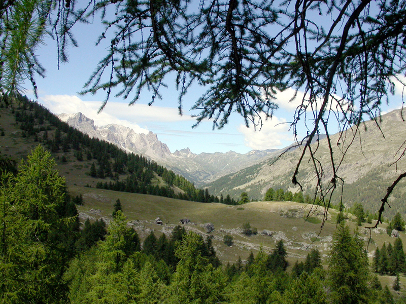 Camping GCU de Vallouise Provenza-Alpes-Costa Azul - Vallouise visuel 1/3 Camping GCU de Vallouise Provenza-Alpes-Costa Azul - Vallouise visuel 1/3